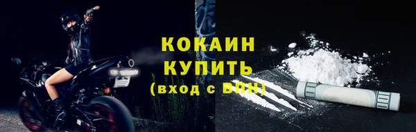 гашик Бородино