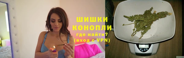 ECSTASY Бронницы