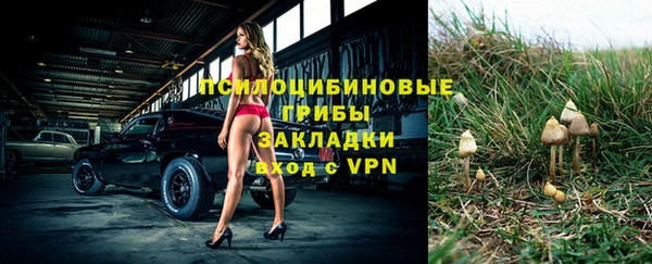 гашик Бородино
