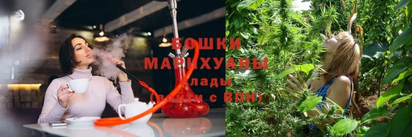 гашик Бородино