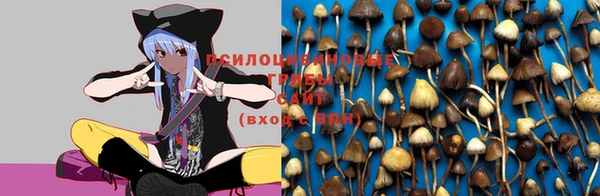 мескалин Бугульма