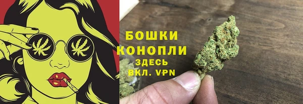 гашик Бородино
