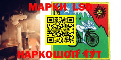 крисы Малгобек