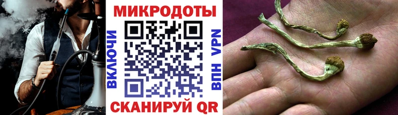 Псилоцибиновые грибы GOLDEN TEACHER  закладка  Медногорск 