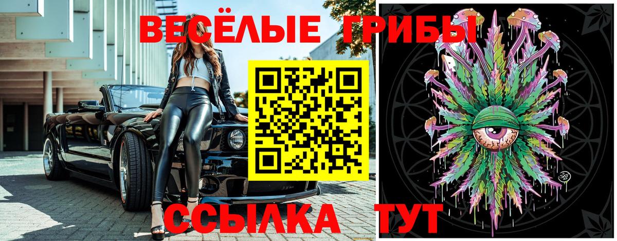 Галлюциногенные грибы Cubensis Медногорск