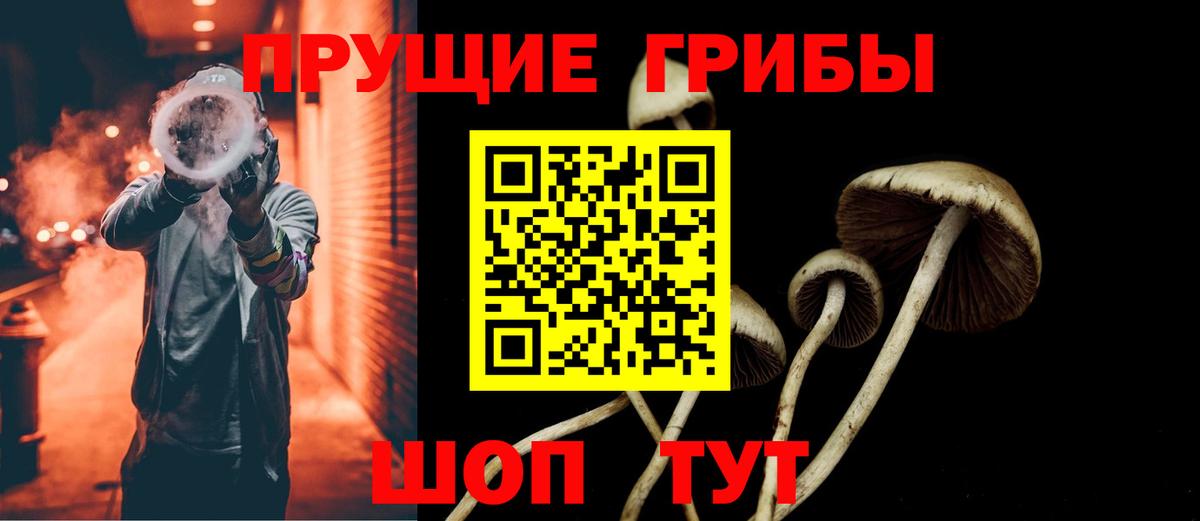 Псилоцибиновые грибы MAGIC MUSHROOMS  Галлюциногенные грибы мицелий  Вход с VPN  Медногорск 